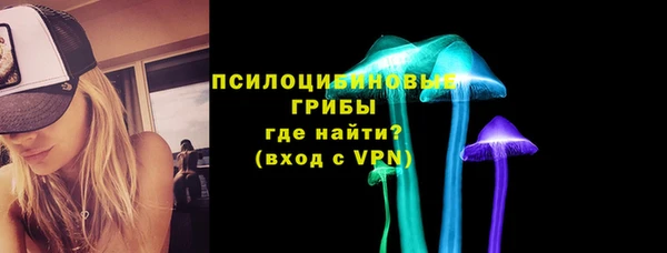 спайс Алексин